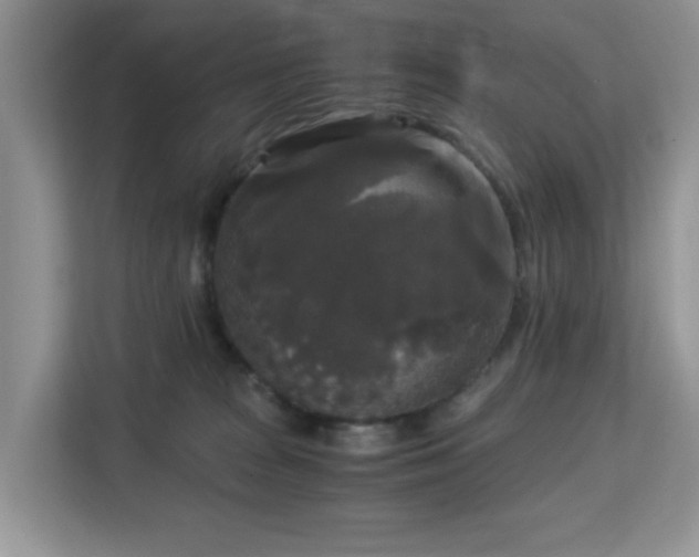 X0000113140277200909110940