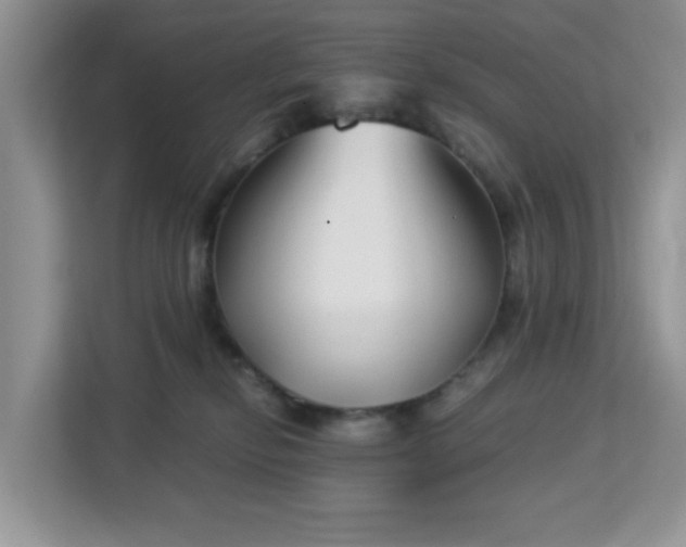 X0000113140278200909110940