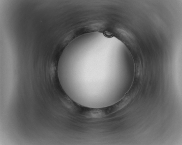 X0000113140279200909110940