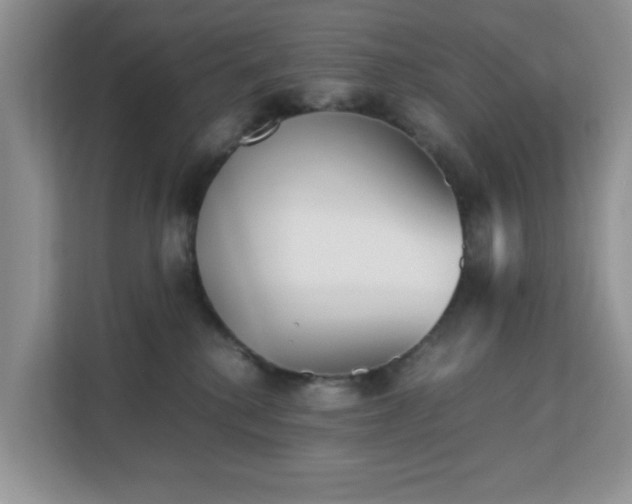 X0000113140280200909110940