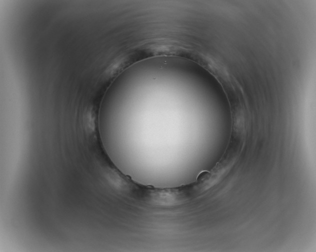 X0000113140282200909110940