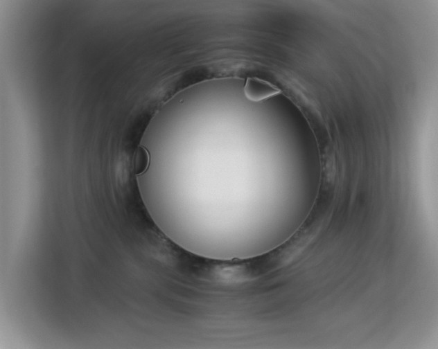 X0000113140283200909110940