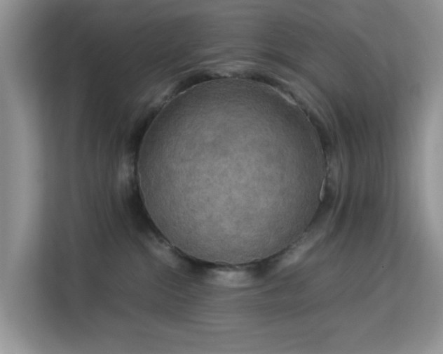 X0000113140284200909110940