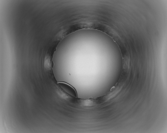 X0000113140287200909110940