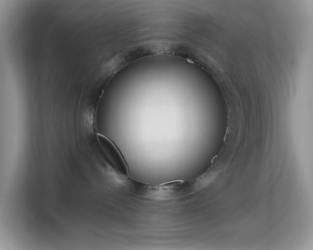 X0000113140288200909110940