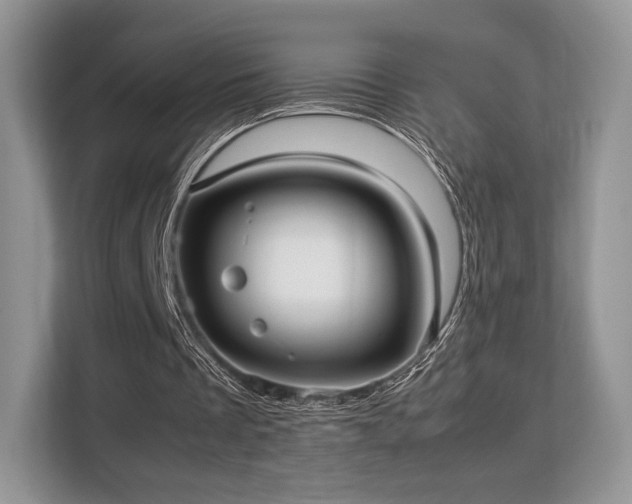 X0000113140289200909110939