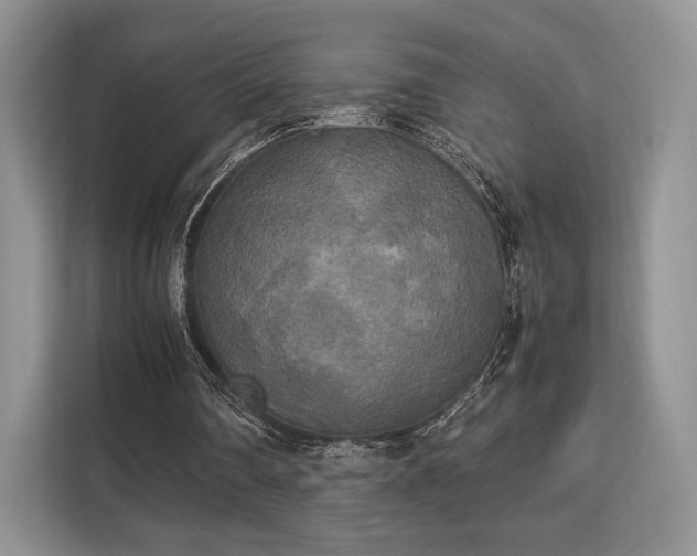 X0000113140290200909110939