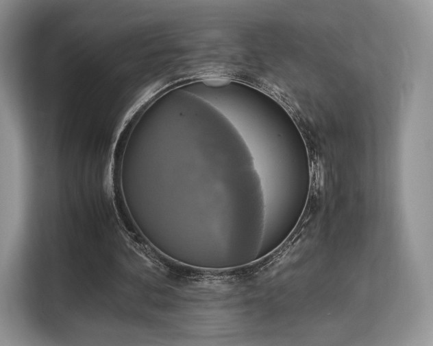 X0000113140292200909110939