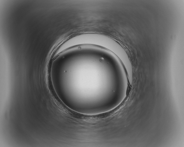 X0000113140293200909110939