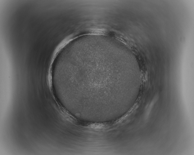 X0000113140294200909110939