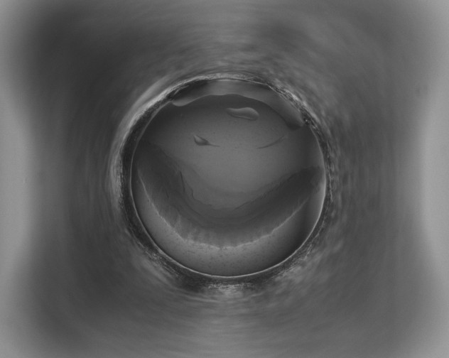 X0000113140295200909110939