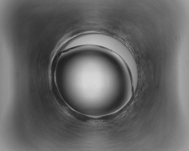 X0000113140296200909110939