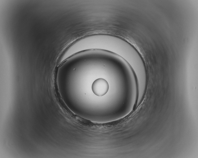 X0000113140297200909110939