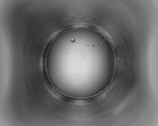 X0000113140298200909110939