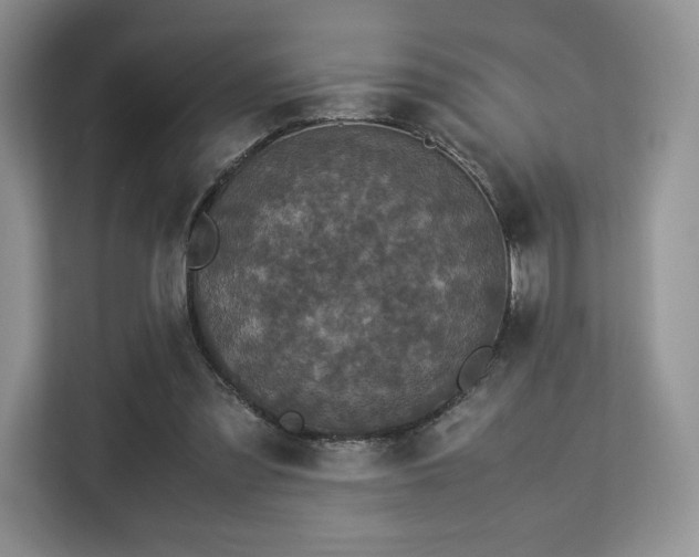 X0000113140301200909110939