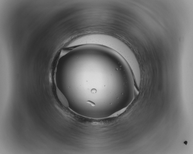 X0000113140302200909110939