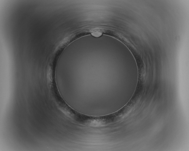 X0000113140303200909110939