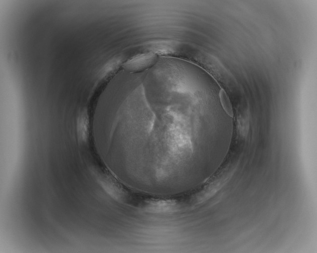 X0000113140304200909110939