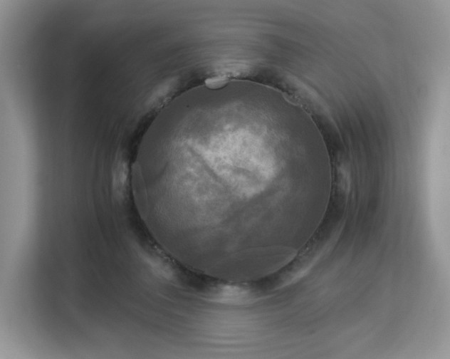 X0000113140308200909110939