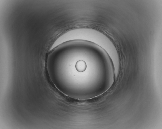 X0000113140309200909110939