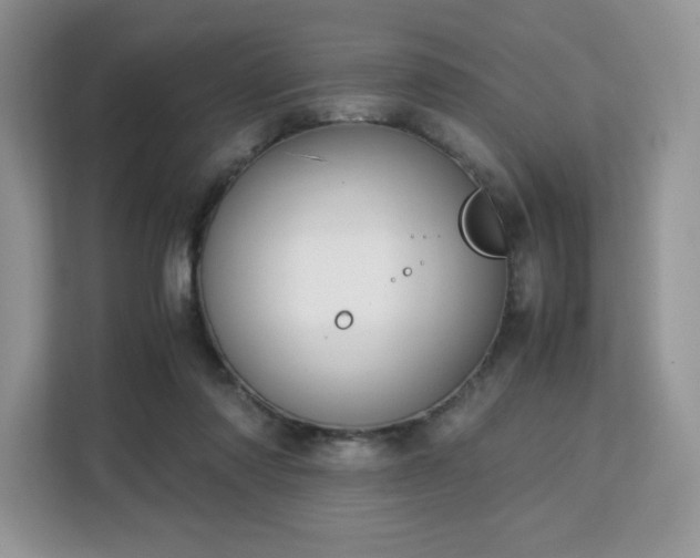 X0000113140310200909110939