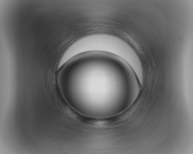 X0000113140313200909110939