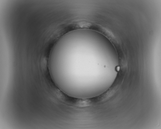 X0000113140321200909110939