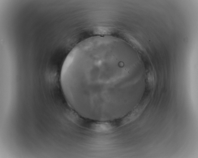 X0000113140322200909110939