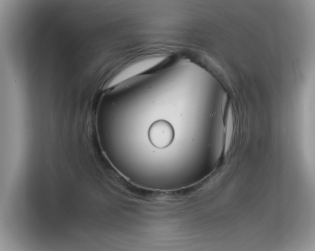 X0000113140325200909110939