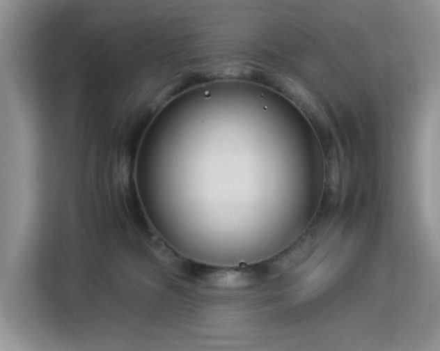 X0000113140326200909110939