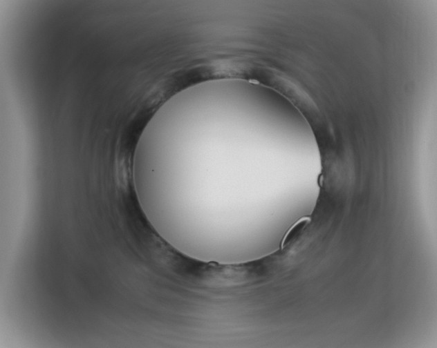 X0000113140329200909110939