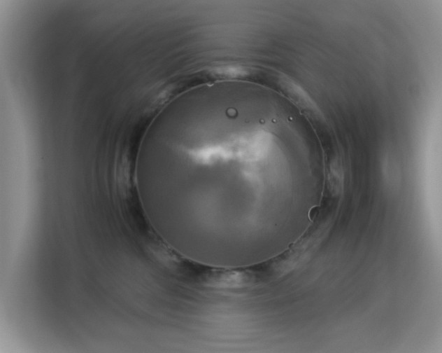 X0000113140330200909110939