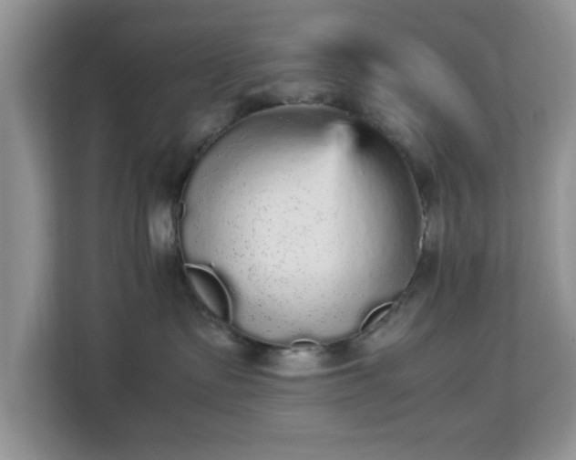 X0000113140335200909110939