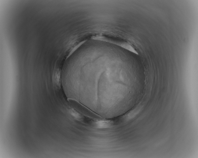 X0000113140336200909110939