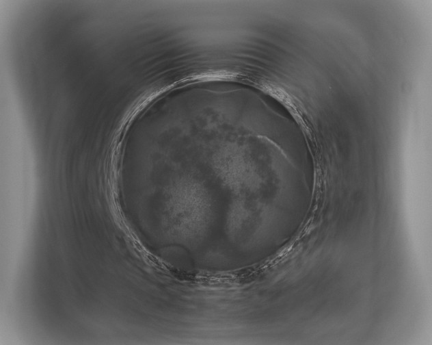 X0000113140337200909110938