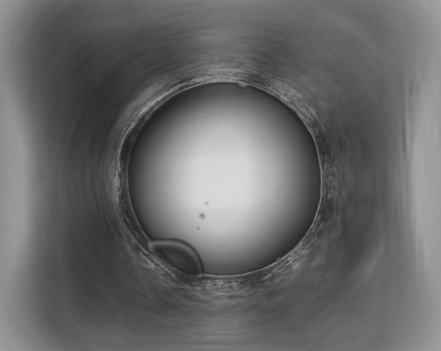 X0000113140338200909110938