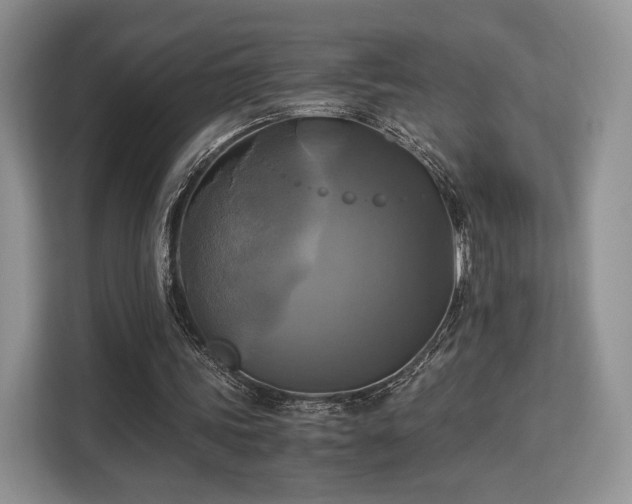 X0000113140339200909110938