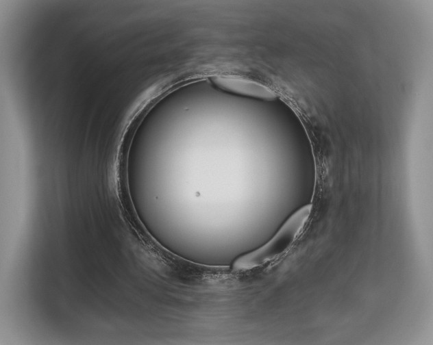 X0000113140340200909110938