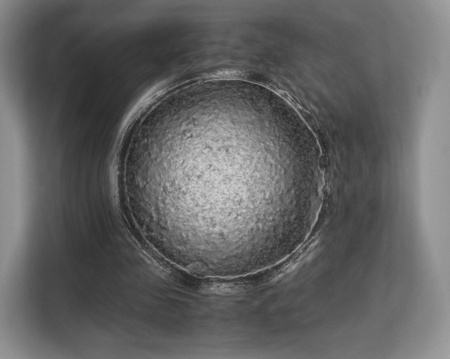 X0000113140341200909110938