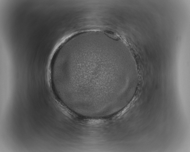 X0000113140342200909110938