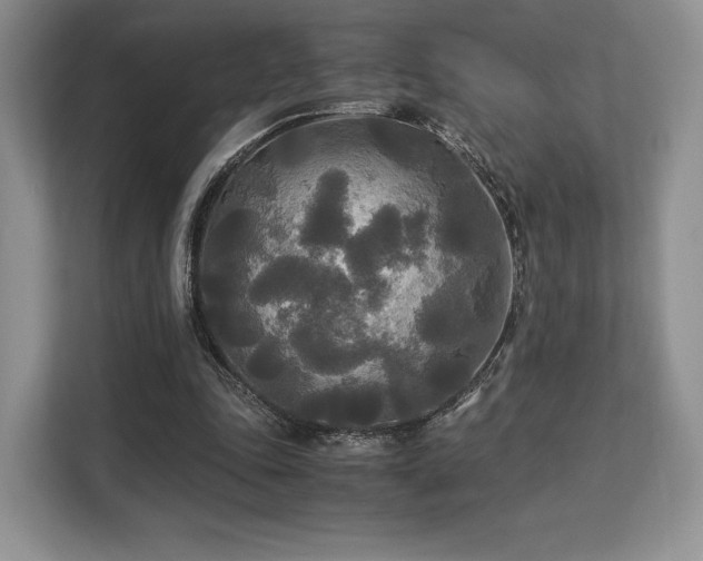 X0000113140343200909110938