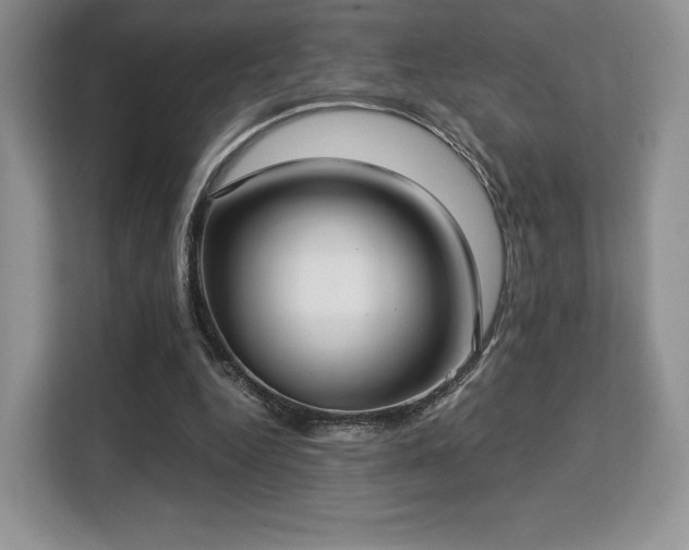 X0000113140344200909110938