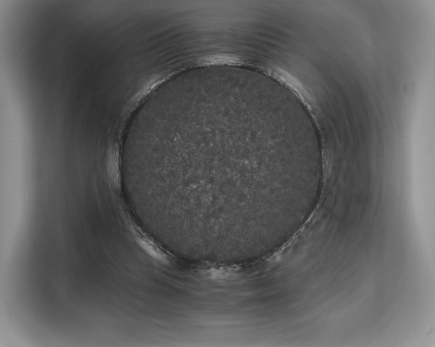 X0000113140345200909110938