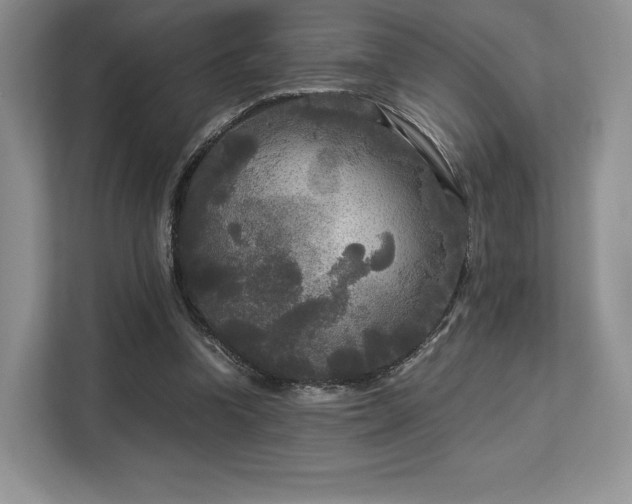 X0000113140346200909110938