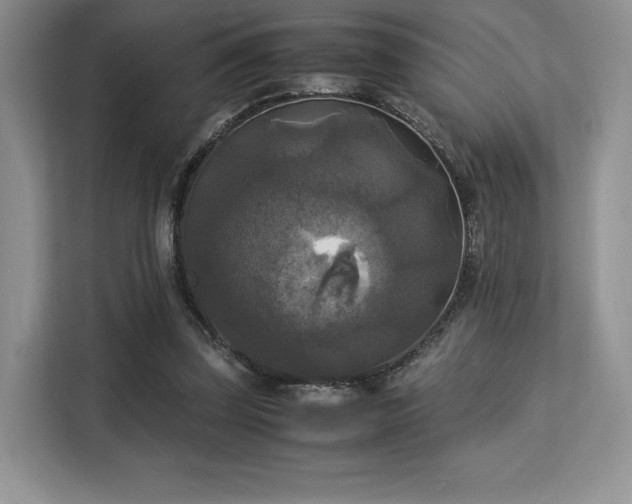 X0000113140347200909110938