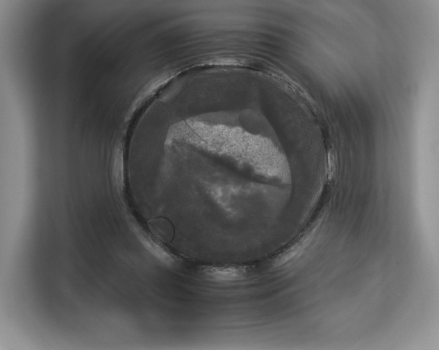 X0000113140349200909110938