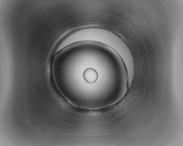 X0000113140350200909110938