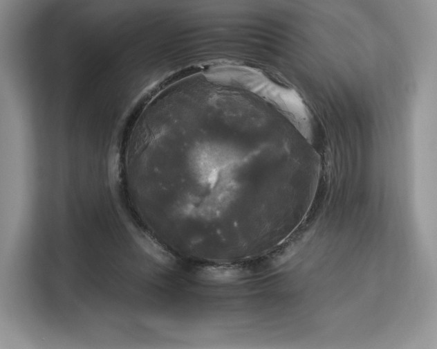 X0000113140351200909110938