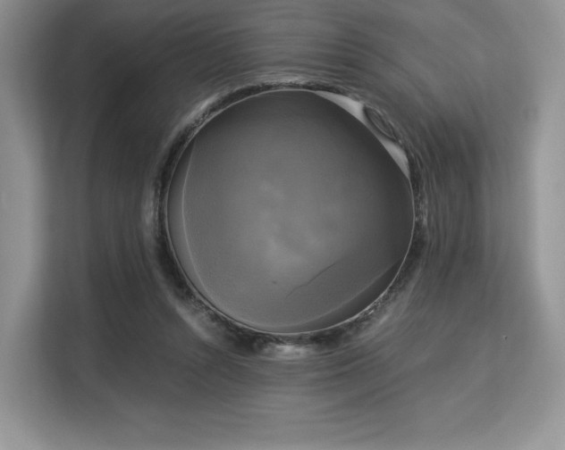 X0000113140352200909110938