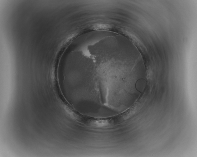 X0000113140353200909110938